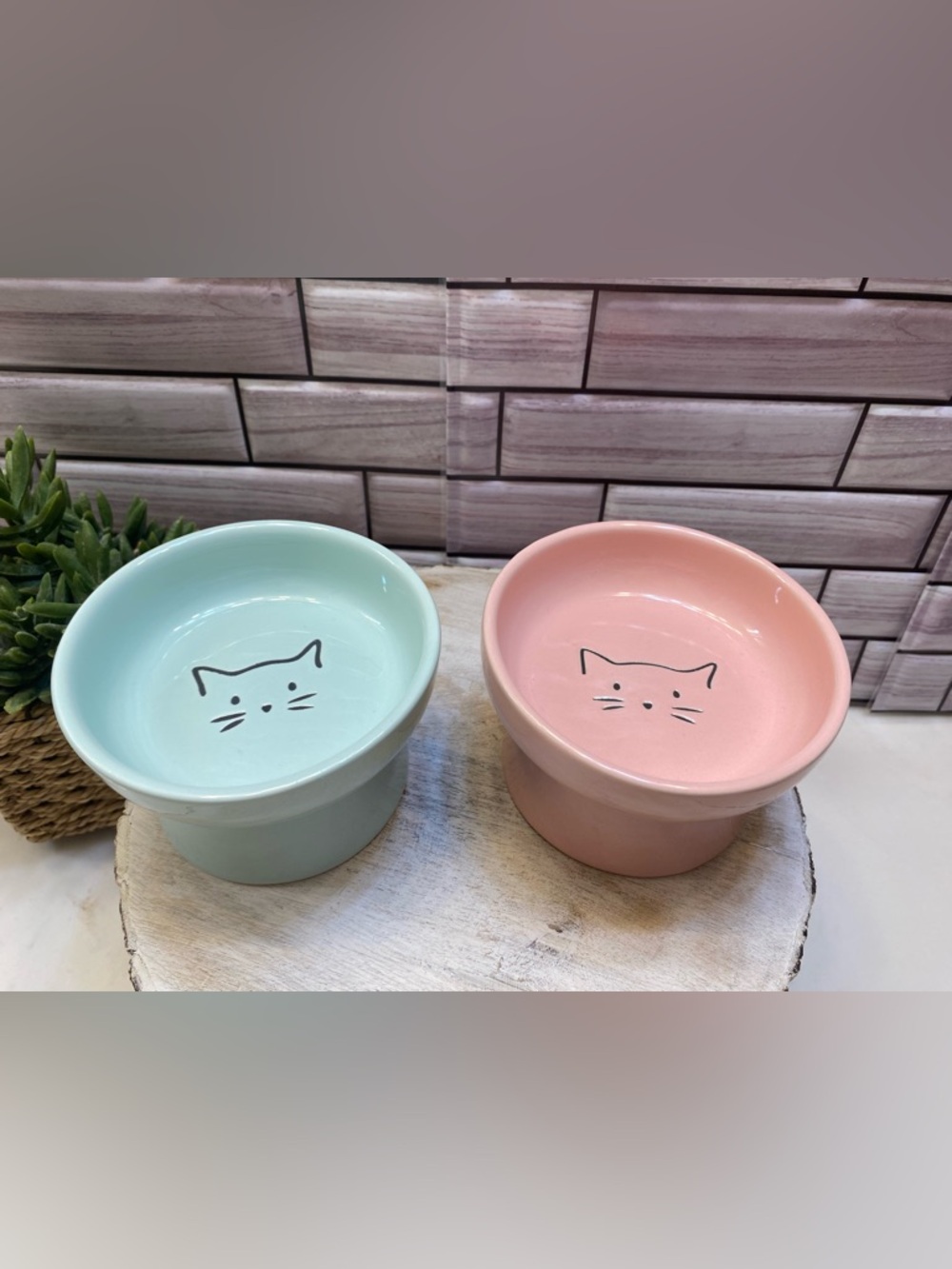 Signature ❤️Cute cat face Elevated cat bowl Pink& Mint Green set of 2 New